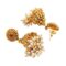 Traditional Handcrafted Antique Gold Jewellery Clustered Hanging Pearls Necklace Set With Jhumki Earrings - Image 4